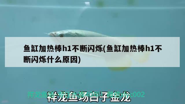 魚缸加熱棒h1不斷閃爍(魚缸加熱棒h1不斷閃爍什么原因)