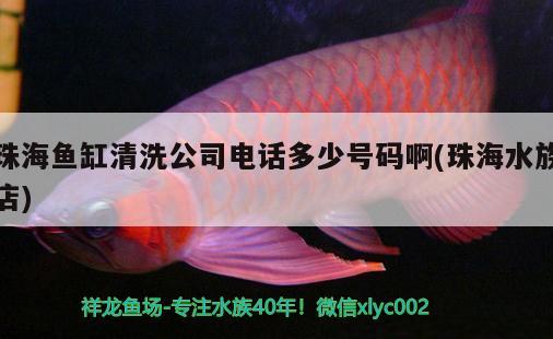 珠海魚(yú)缸清洗公司電話多少號(hào)碼啊(珠海水族店)