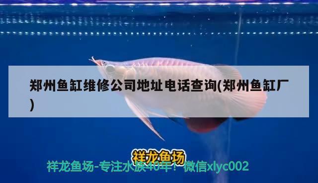 鄭州魚缸維修公司地址電話查詢(鄭州魚缸廠) 魚缸風(fēng)水