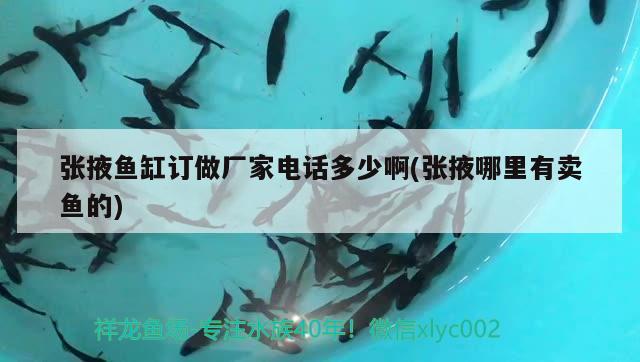 張掖魚缸訂做廠家電話多少啊(張掖哪里有賣魚的)