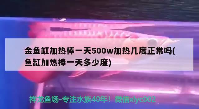 金魚缸加熱棒一天500w加熱幾度正常嗎(魚缸加熱棒一天多少度)