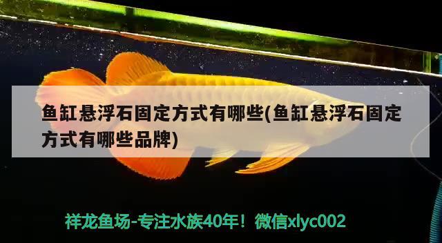 魚缸懸浮石固定方式有哪些(魚缸懸浮石固定方式有哪些品牌) 大白鯊魚 第1張