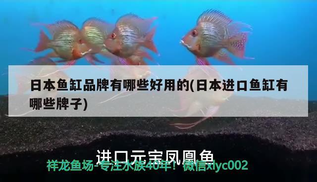 日本魚(yú)缸品牌有哪些好用的(日本進(jìn)口魚(yú)缸有哪些牌子) 水族燈（魚(yú)缸燈）