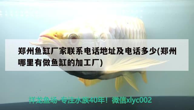 鄭州魚(yú)缸廠家聯(lián)系電話地址及電話多少(鄭州哪里有做魚(yú)缸的加工廠)