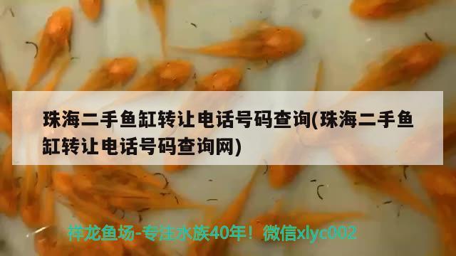 珠海二手魚缸轉(zhuǎn)讓電話號(hào)碼查詢(珠海二手魚缸轉(zhuǎn)讓電話號(hào)碼查詢網(wǎng)) 申古銀版魚