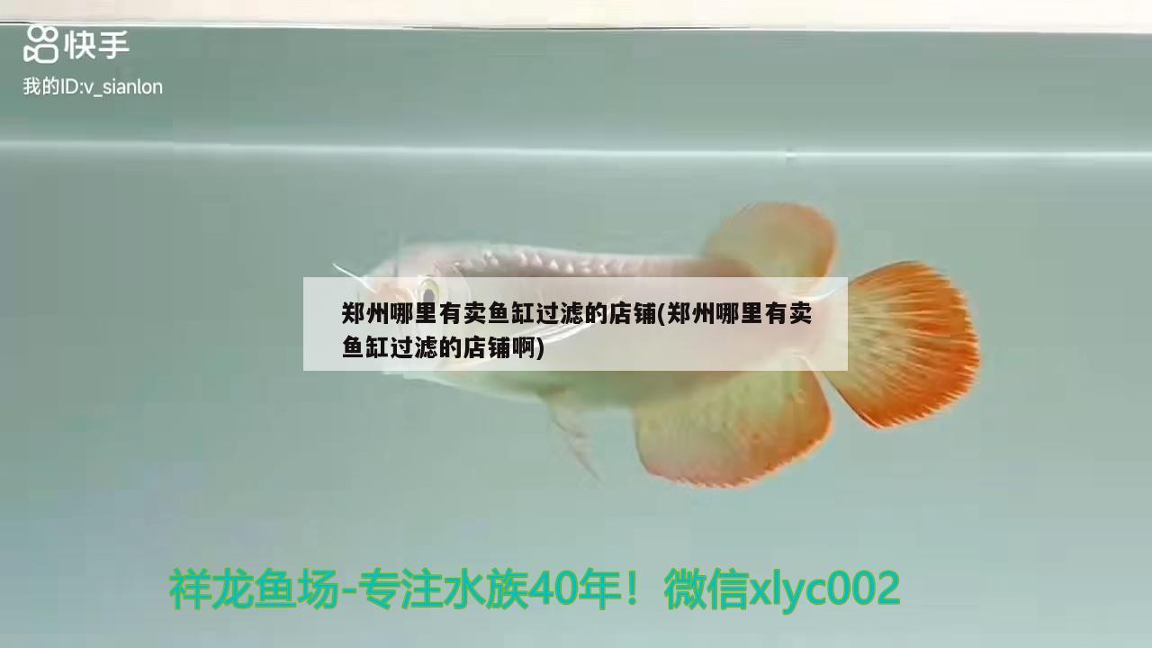 鄭州哪里有賣魚缸過濾的店鋪(鄭州哪里有賣魚缸過濾的店鋪啊)