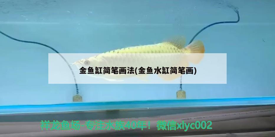 金魚缸簡筆畫法(金魚水缸簡筆畫)