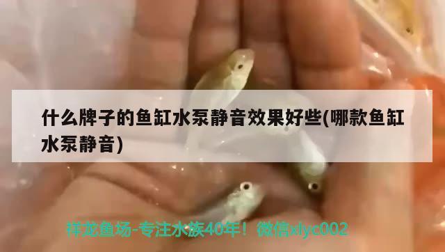 什么牌子的魚缸水泵靜音效果好些(哪款魚缸水泵靜音)