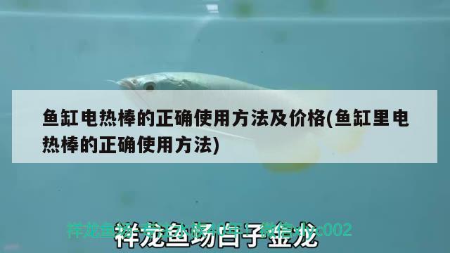 魚缸電熱棒的正確使用方法及價格(魚缸里電熱棒的正確使用方法)