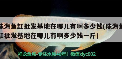 珠海魚缸批發(fā)基地在哪兒有啊多少錢(珠海魚缸批發(fā)基地在哪兒有啊多少錢一斤) 觀賞魚水族批發(fā)市場(chǎng)