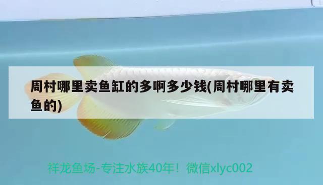 周村哪里賣(mài)魚(yú)缸的多啊多少錢(qián)(周村哪里有賣(mài)魚(yú)的)