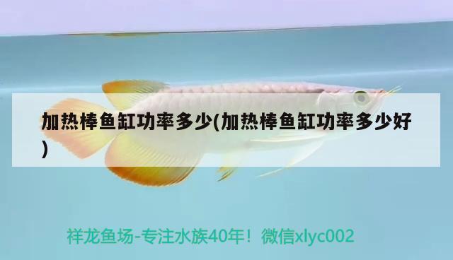 加熱棒魚(yú)缸功率多少(加熱棒魚(yú)缸功率多少好) 生態(tài)瓶/創(chuàng)意缸/桌面微景缸