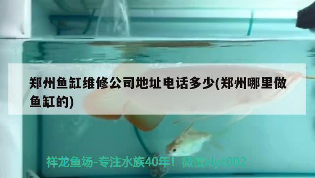 鄭州魚缸維修公司地址電話多少(鄭州哪里做魚缸的)