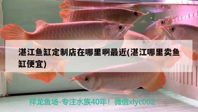 湛江魚缸定制店在哪里啊最近(湛江哪里賣魚缸便宜) 魟魚百科