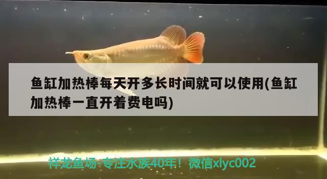 魚缸加熱棒每天開多長(zhǎng)時(shí)間就可以使用(魚缸加熱棒一直開著費(fèi)電嗎)