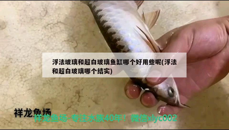 浮法玻璃和超白玻璃魚缸哪個(gè)好用些呢(浮法和超白玻璃哪個(gè)結(jié)實(shí))