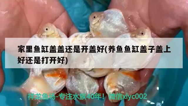 家里魚(yú)缸蓋蓋還是開(kāi)蓋好(養(yǎng)魚(yú)魚(yú)缸蓋子蓋上好還是打開(kāi)好)