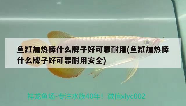 魚缸加熱棒什么牌子好可靠耐用(魚缸加熱棒什么牌子好可靠耐用安全) 撒旦鴨嘴魚