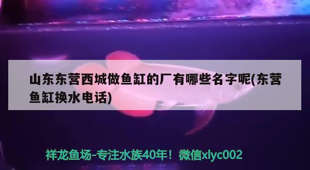 山東東營西城做魚缸的廠有哪些名字呢(東營魚缸換水電話)