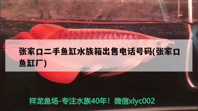 張家口二手魚缸水族箱出售電話號碼(張家口魚缸廠)