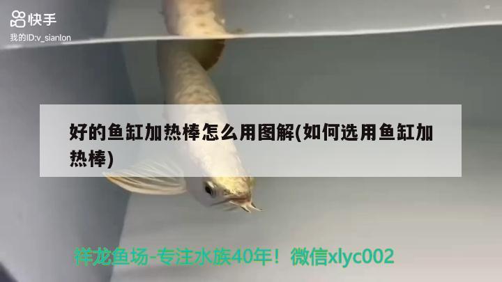 好的魚缸加熱棒怎么用圖解(如何選用魚缸加熱棒)