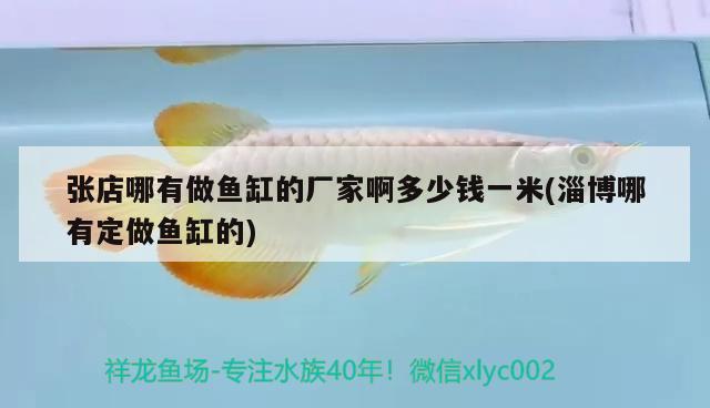 張店哪有做魚缸的廠家啊多少錢一米(淄博哪有定做魚缸的)