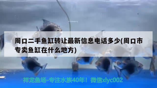 周口二手魚缸轉(zhuǎn)讓最新信息電話多少(周口市專賣魚缸在什么地方)