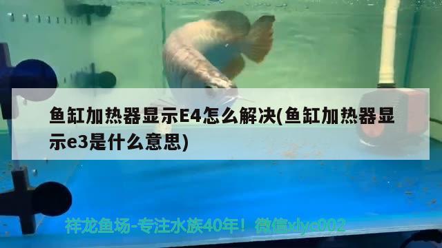 魚缸加熱器顯示E4怎么解決(魚缸加熱器顯示e3是什么意思)