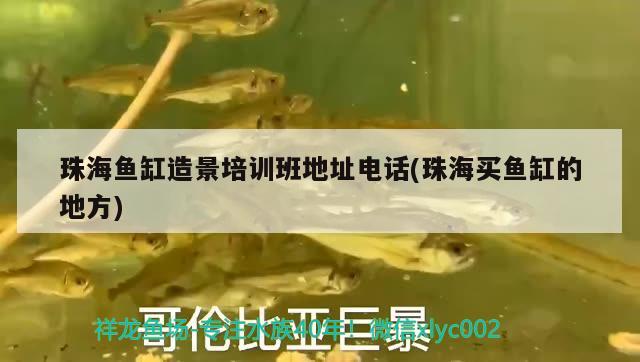 珠海魚(yú)缸造景培訓(xùn)班地址電話(huà)(珠海買(mǎi)魚(yú)缸的地方) PH調(diào)節(jié)劑