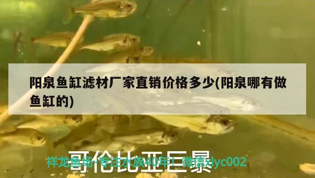 陽泉魚缸濾材廠家直銷價格多少(陽泉哪有做魚缸的)