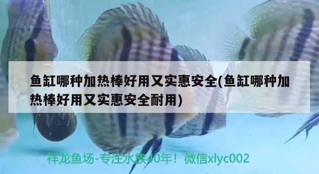 魚缸哪種加熱棒好用又實惠安全(魚缸哪種加熱棒好用又實惠安全耐用)