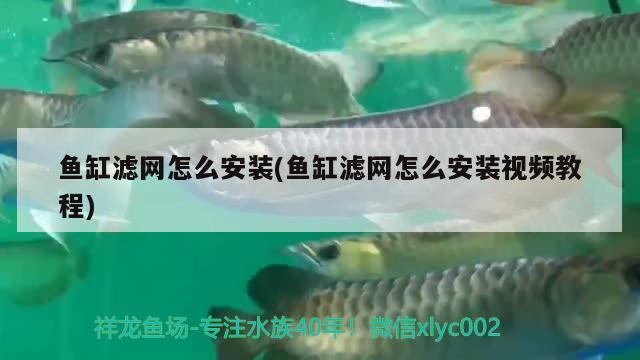 魚缸濾網(wǎng)怎么安裝(魚缸濾網(wǎng)怎么安裝視頻教程)