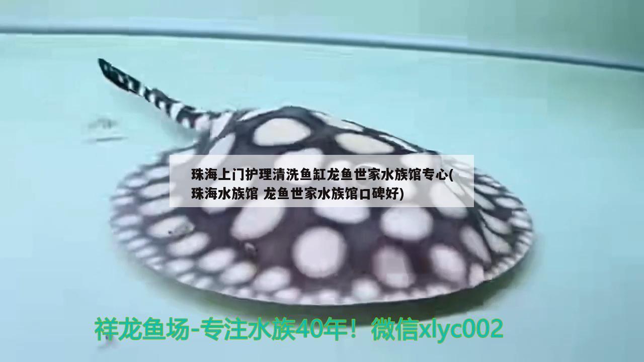 珠海上門護理清洗魚缸龍魚世家水族館專心(珠海水族館龍魚世家水族館口碑好)