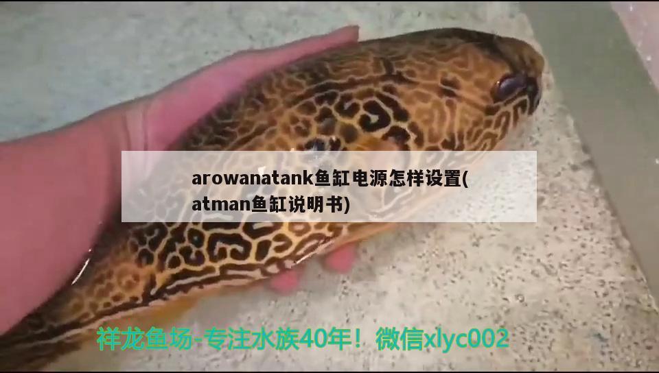 arowanatank魚缸電源怎樣設置(atman魚缸說明書)