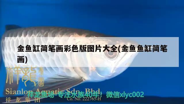 金魚(yú)缸簡(jiǎn)筆畫(huà)彩色版圖片大全(金魚(yú)魚(yú)缸簡(jiǎn)筆畫(huà)) 月光鴨嘴魚(yú)