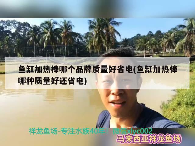 魚缸加熱棒哪個品牌質(zhì)量好省電(魚缸加熱棒哪種質(zhì)量好還省電) 粗線銀版魚苗