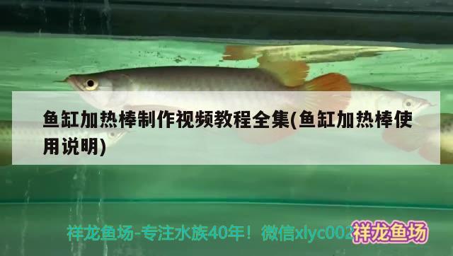 魚缸加熱棒制作視頻教程全集(魚缸加熱棒使用說明)