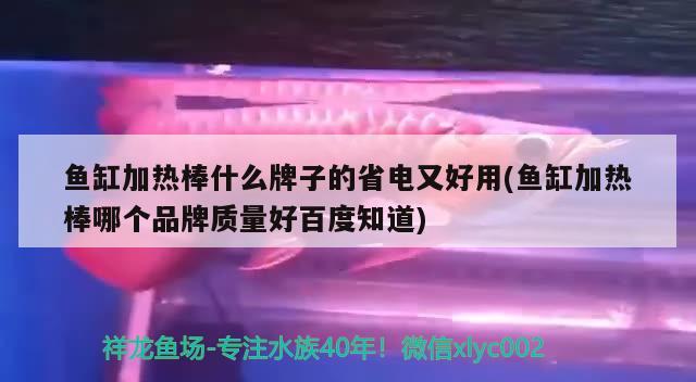 魚缸加熱棒什么牌子的省電又好用(魚缸加熱棒哪個品牌質(zhì)量好百度知道) 白化巴西龜（白巴）