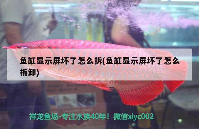 魚缸顯示屏壞了怎么拆(魚缸顯示屏壞了怎么拆卸) 祥龍龍魚魚糧