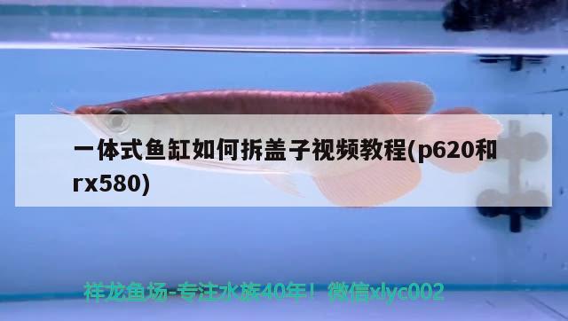 一體式魚缸如何拆蓋子視頻教程(p620和rx580)