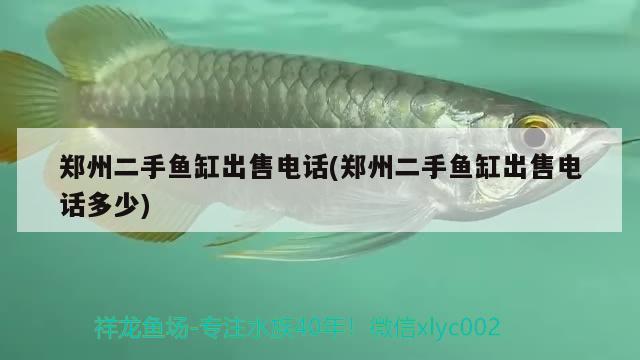 鄭州二手魚缸出售電話(鄭州二手魚缸出售電話多少)