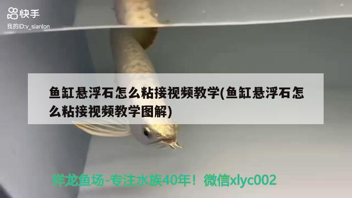 魚缸懸浮石怎么粘接視頻教學(xué)(魚缸懸浮石怎么粘接視頻教學(xué)圖解)