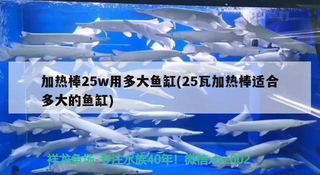 加熱棒25w用多大魚缸(25瓦加熱棒適合多大的魚缸)