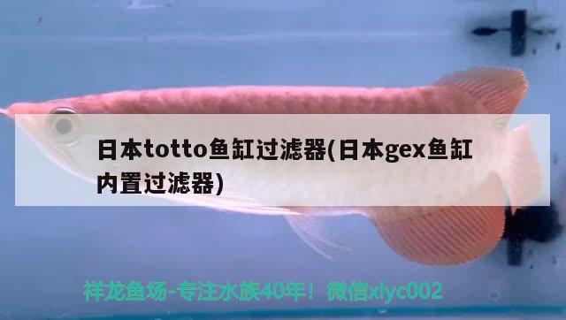 日本totto魚缸過濾器(日本gex魚缸內(nèi)置過濾器)