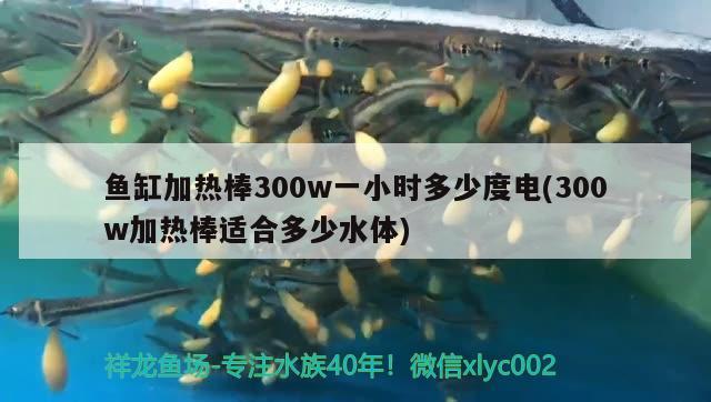 魚缸加熱棒300w一小時多少度電(300w加熱棒適合多少水體)