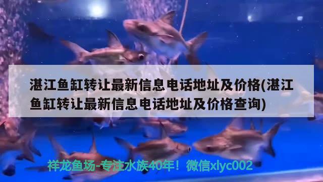 湛江魚缸轉(zhuǎn)讓最新信息電話地址及價格(湛江魚缸轉(zhuǎn)讓最新信息電話地址及價格查詢)