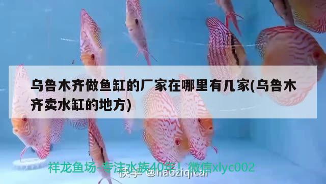 烏魯木齊做魚缸的廠家在哪里有幾家(烏魯木齊賣水缸的地方)