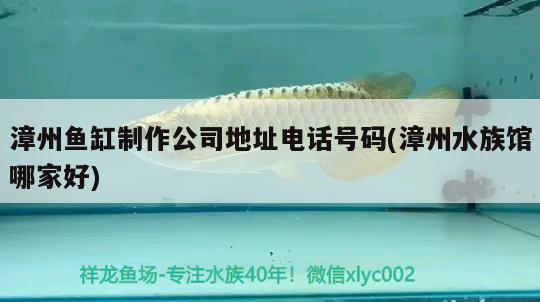 漳州魚缸制作公司地址電話號碼(漳州水族館哪家好)