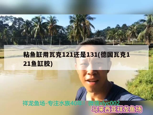 粘魚缸用瓦克121還是131(德國瓦克121魚缸膠)