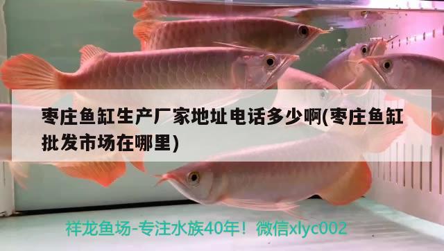 棗莊魚缸生產(chǎn)廠家地址電話多少啊(棗莊魚缸批發(fā)市場在哪里)